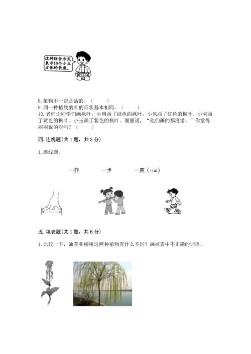 教科版一年级上册科学期末测试卷精品（基础题）.docx