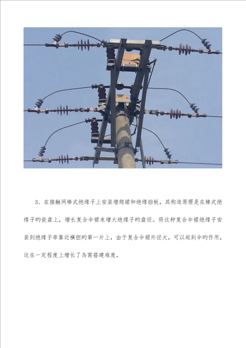 供电线路鸟害及其防治措施