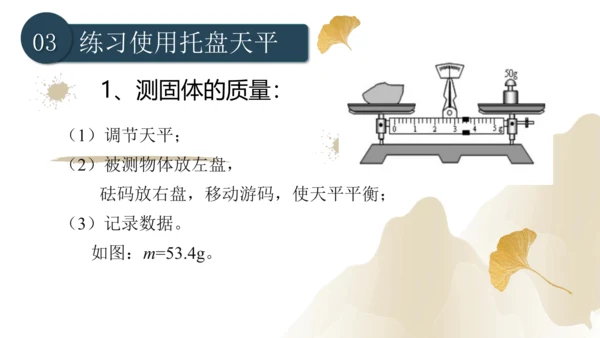 6.1质量（课件）(共29张PPT) -2023-2024学年八年级物理上册同步精品课堂（人教版）