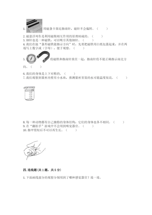 教科版二年级下册科学知识点期末测试卷精品【满分必刷】.docx