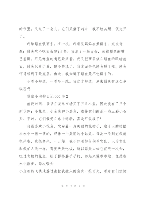 观察小动物日记600字5篇.docx