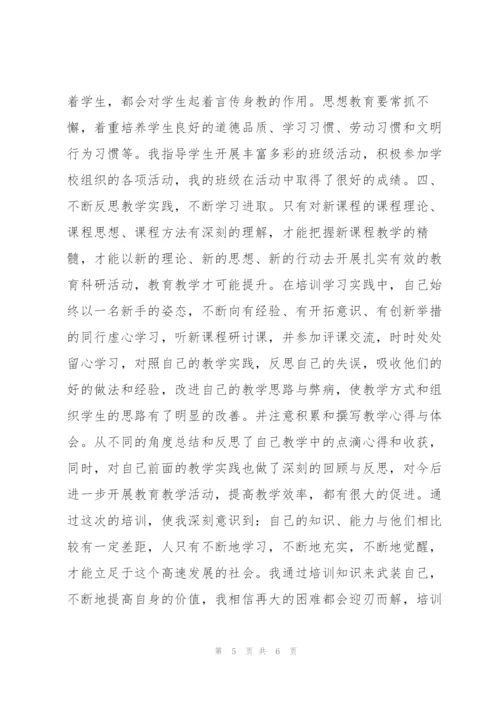 中小学教师继续教育培训总结.docx