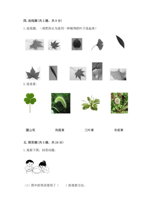 教科版一年级上册科学期末测试卷往年题考.docx