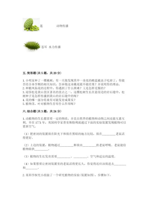 科学四年级下册第一单元《植物的生长变化》测试卷附参考答案【研优卷】.docx