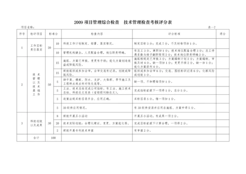 项目管理检查考核评分表.docx