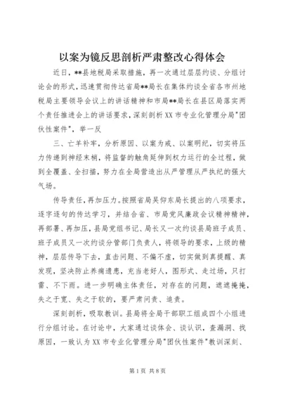 以案为镜反思剖析严肃整改心得体会.docx