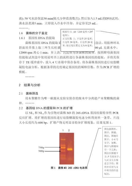 论文写作格式模板.docx