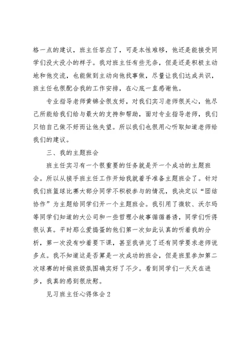 见习班主任的心得体会五篇