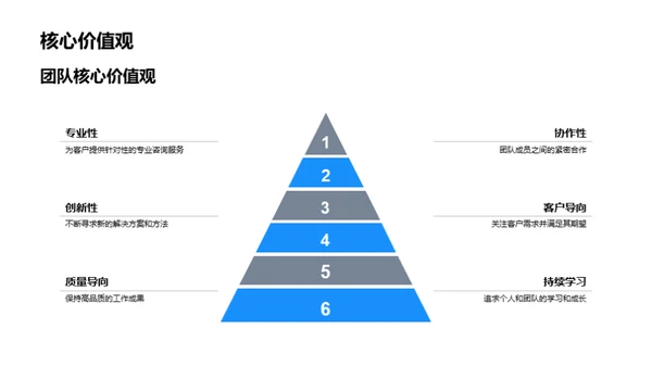 半年技术咨询团队回顾