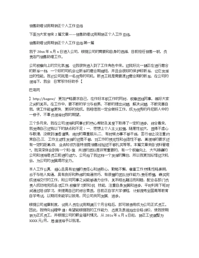 销售助理试用期转正个人工作总结