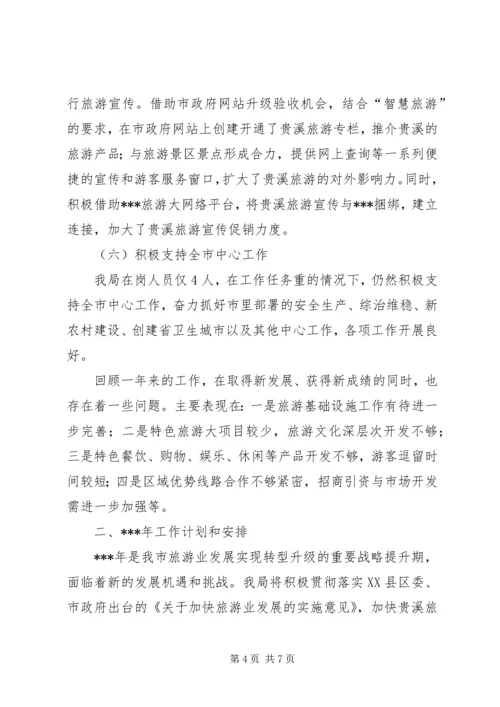 旅游局工作总结及工作计划 (2).docx