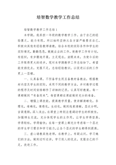 培智数学教学工作总结.docx