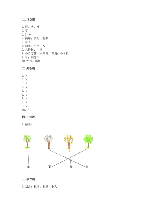 教科版一年级上册科学期末测试卷精品（黄金题型）.docx