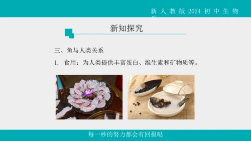 人教版生物七年级上册2.2.2《脊椎动物》（第1课时）课件(共42张PPT)+视频素材