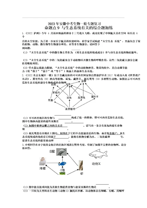 2023年安徽中考生物一轮专题复习:命题点9与生态系统有关的综合题加练