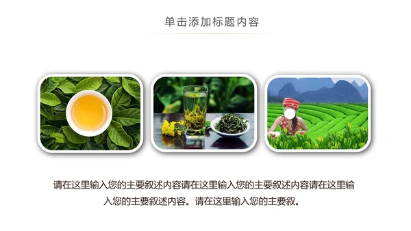 绿茶产品介绍茶叶茶文化春茶紫砂壶PPT