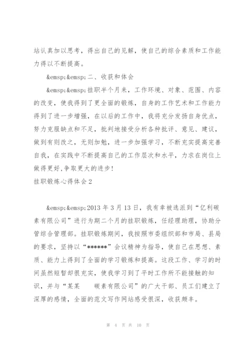 通用挂职锻炼心得体会范文.docx