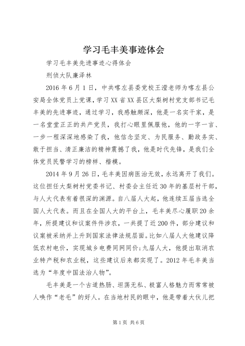 学习毛丰美事迹体会 (3).docx