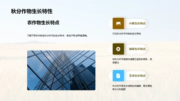秋分农业管理策略