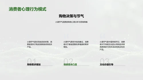 小满节气提升销售PPT模板