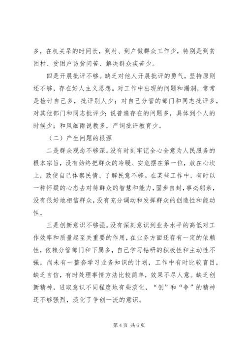 县政府党组民主生活会发言提纲(精选多篇).docx