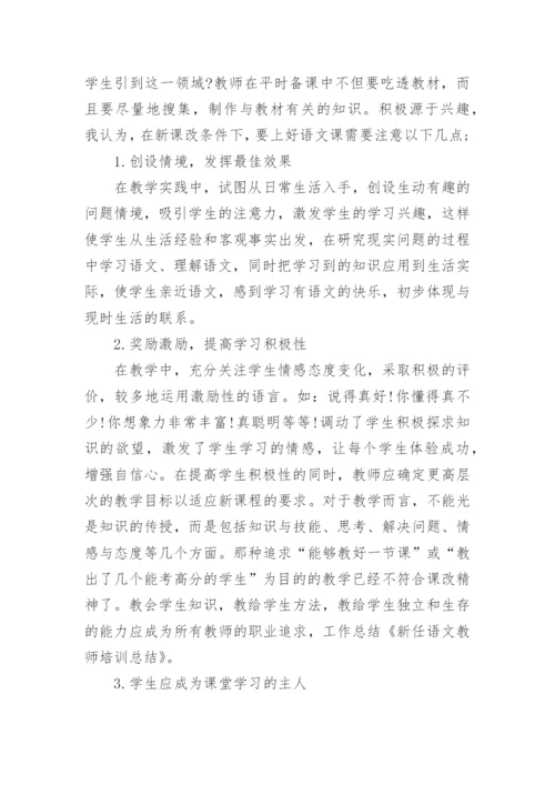 教师培训总结_49.docx