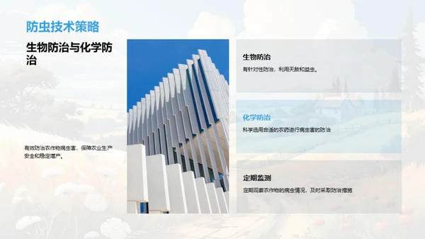 小暑农务策略解析