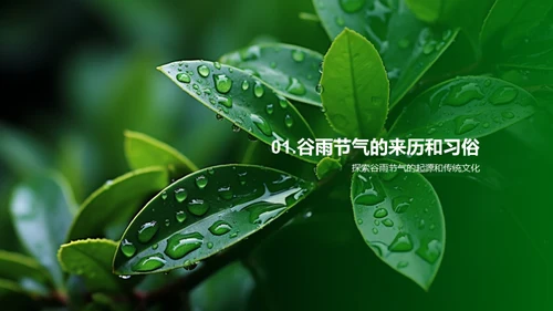 谷雨品牌战略