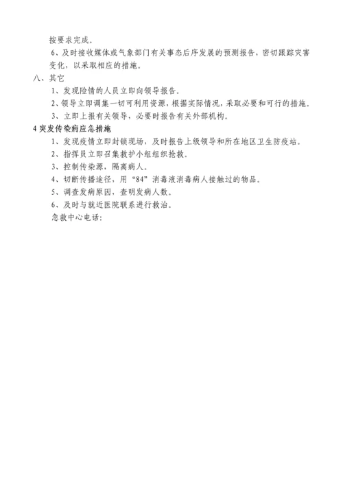 公司应急预案.docx