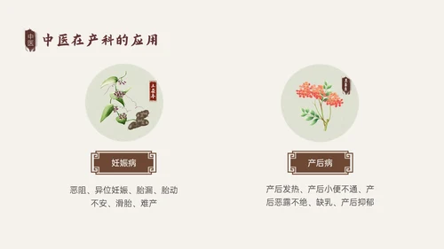 褐色古风中医与妇产科培训PPT模板
