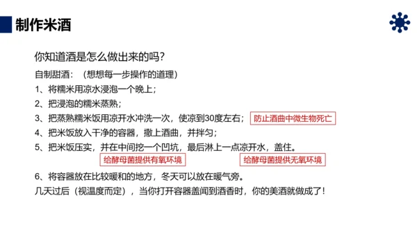 人类对细菌和真菌的利用PPT课件