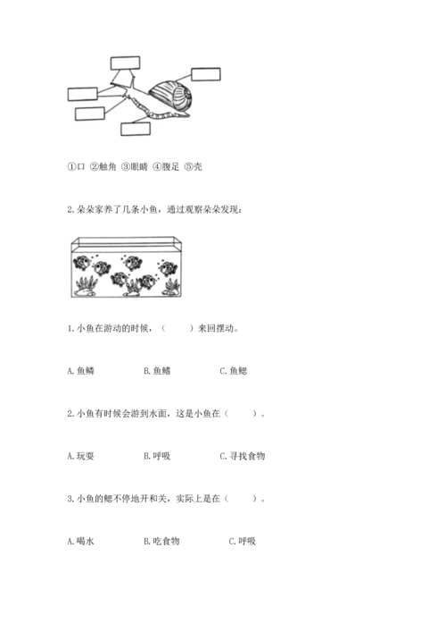教科版一年级下册科学期末测试卷附答案【研优卷】.docx