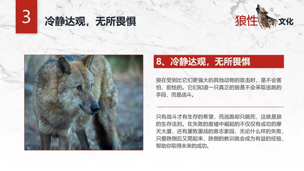 团队企业文化狼性文化员工培训PPT