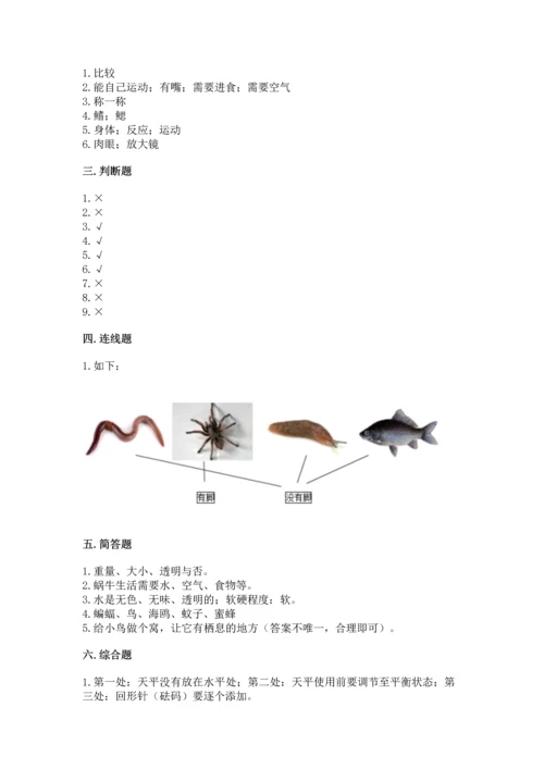 教科版一年级下册科学期末测试卷精品【完整版】.docx