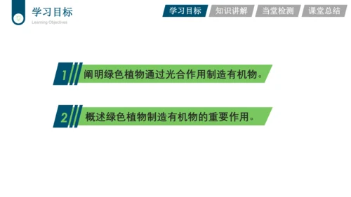 3.3.4  绿色植物是生物圈中有机物的制造者  课件-2023-2024学年人教版生物七年级上册(