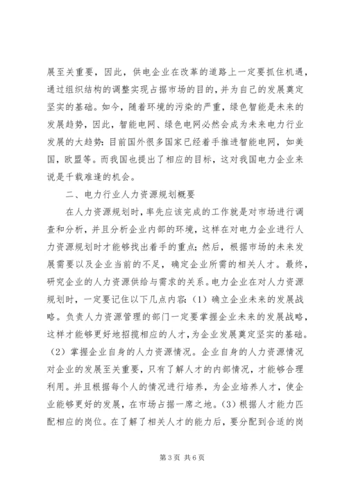 电力企业人力资源规划方案.docx