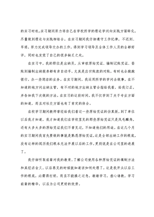 2022年出纳顶岗实习报告总结三篇