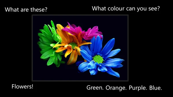 Unit2.Colours PartC 课件(共36张PPT）