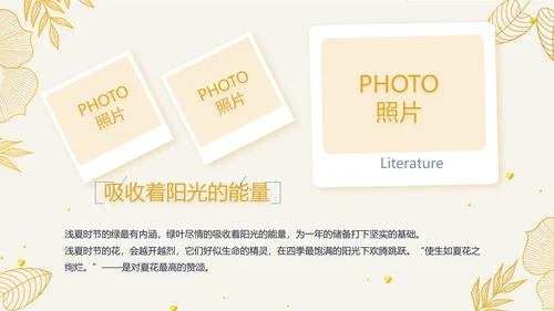 复古欧式电子相册动态PPT模板封含