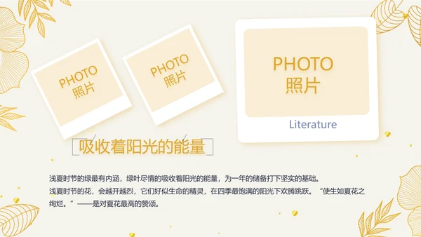 复古欧式电子相册动态PPT模板封含
