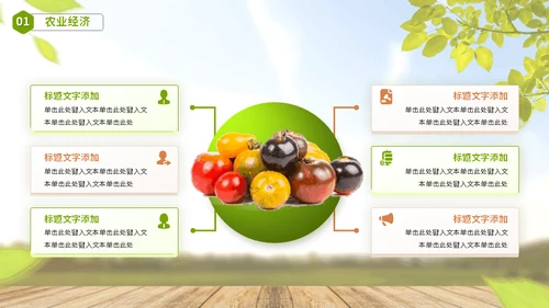 大学农学专业课程农业农产品供销社通用PPT模板