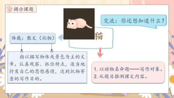 【核心素养】部编版语文四年级下册-13.猫 第1课时（课件）