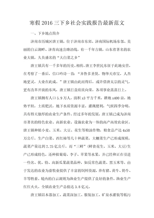 寒假2016三下乡社会实践报告最新范文
