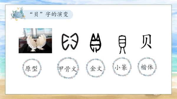 【核心素养】部编版语文二年级下册-识字3. “贝”的故事 第2课时（课件）