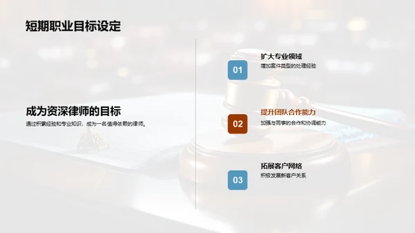 法律精英之路
