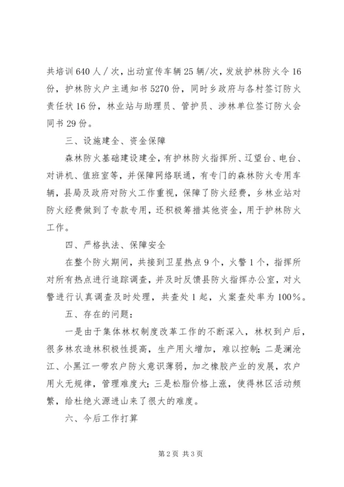 乡镇护林防火总结.docx