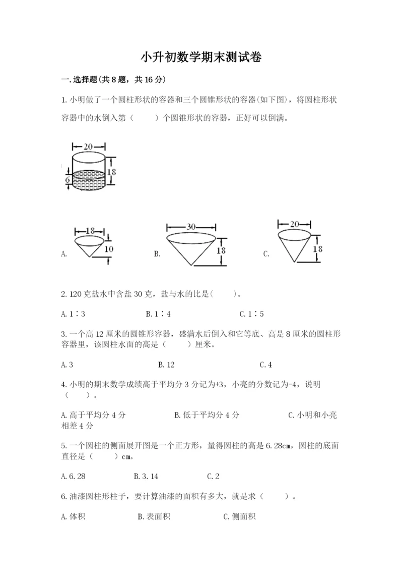 小升初数学期末测试卷（培优）.docx