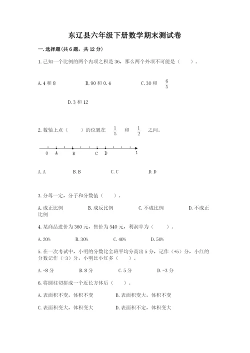东辽县六年级下册数学期末测试卷精品及答案.docx