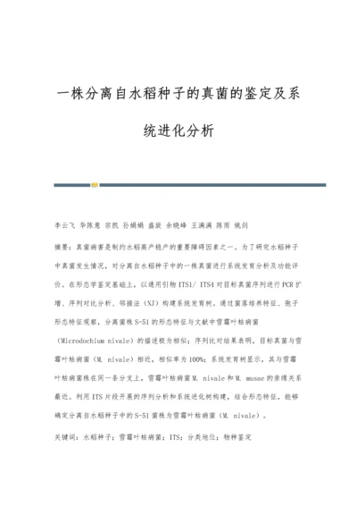 一株分离自水稻种子的真菌的鉴定及系统进化分析.docx