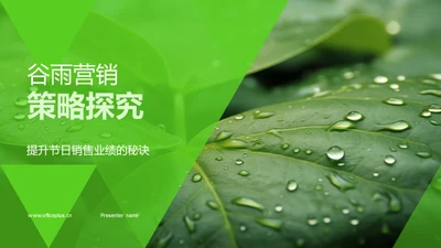 谷雨营销策略探究